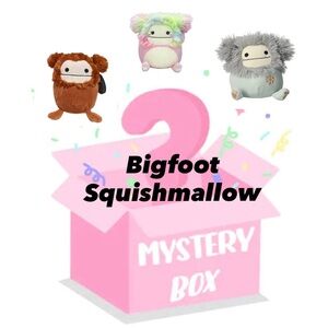 4/$30 Bigfoot Squishmallow Mystery Box